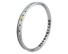 Alienation TCS Vandal Rim (Chrome) (36H) (Schrader) (20") (2.20")