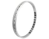 Alienation Felon Rim (Polished) (36H) (Schrader) (20") (1.75")