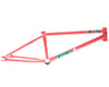 Related: Colony Sweet Tooth Frame (Alex Hiam) (Salmon) (18.9")