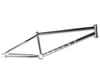Colony Rico Frame (Chrome) (Paterico Fallico) (21")