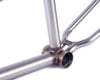 Image 2 for Cult Shorty IC2 Frame (Matte Clear Raw) (20.75")