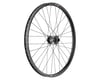 DT Swiss D1900 Classic Dirt Jump Front Wheel (Black) (20 x 110mm) (26")