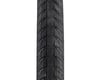 Image 2 for Eclat Creature Tire (Black) (Felix Prangenberg Signature) (20" / 406 ISO) (2.4")