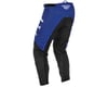 Image 2 for Fly Racing F-16 Pants (Blue/Grey/Black) (36)