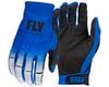 Image 1 for Fly Racing Evolution DST Gloves (Blue/Grey) (L)