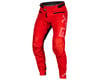 Related: Fly Racing Youth Rayce Bicycle Pants (Red) (22)