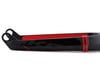 Image 2 for Ikon Pro 24" Carbon Forks (Black/Red) (20mm) (Pro Cruiser 24") (1-1/8 - 1.5")