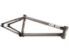 Kink Royale Frame (Gilded Bronze) (20.5")