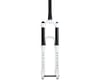 Image 2 for Manitou Circus Expert Suspension Fork (White) (Tapered) (20 x 110mm) (41mm Offset) (26") (100mm)