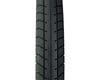Image 2 for Odyssey Path Pro Cruiser Tire (Black) (24") (2.2") (507 ISO)