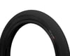 Image 1 for Primo Zia Tire (Nate Richter) (Black) (20" / 406 ISO) (2.4")