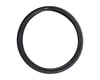 Rant Squad Tire (Black) (29" / 622 ISO) (2.35")