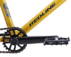 Image 3 for Redline Asset-24 Y24 BMX Cruiser Bike (Mustard) (21.75 Toptube)