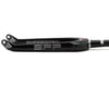 Image 2 for SPP Supersized Expert Carbon Fork (Alloy Steerer Tube)