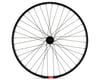 Image 2 for Stolen Rampage 29" Bike Life Disc Front Wheel (Black) (29 x 1.75)