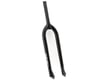 Image 1 for Theory Elevate 29" Fork (Black) (30mm Offset)