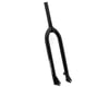 Image 1 for Theory Elevate Disc 29" Fork (Black) (30mm Offset)