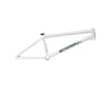 Related: We The People Doomsayer Frame (Matte White) (20.75")