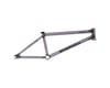 Related: We The People Pathfinder Frame (Translucent Lilac) (21")