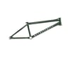 Related: We The People Paradox Frame (Abyss Green) (20.75")