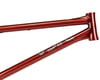 Image 4 for We The People ARC Frame (Translucent Brown) (20.5")