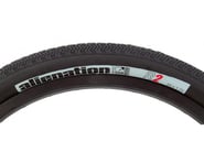Alienation TCS R2 Tubeless Tire (Black) | product-related