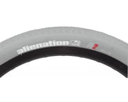 Alienation TCS R2 Tubeless Tire (Grey) | product-related