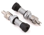 Alienation Tubeless Alloy Schrader Valves (Silver) (Pair) | product-related