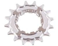 Calculated VSR Pro Cog (Raw)