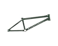 We The People Paradox Frame (Abyss Green)