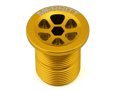 Merritt Fork Top Cap Bolt (Gold) (24 x 1.5mm)