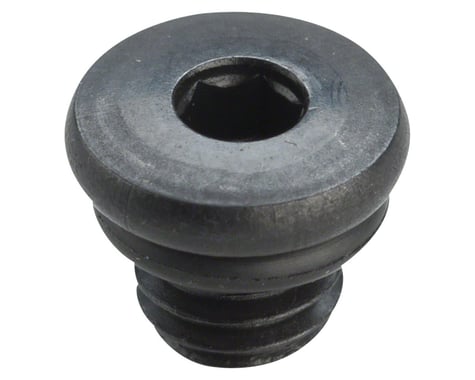 Shimano Bleed Port Screw & O-Ring (XT/SLX)