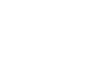 Fly BMX logo