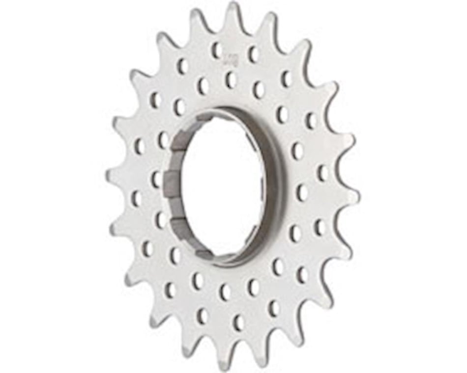 Single speed 2024 rear cog