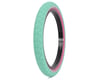 Rant Squad Tire (Teal/Pink) (20" / 406 ISO) (2.35")